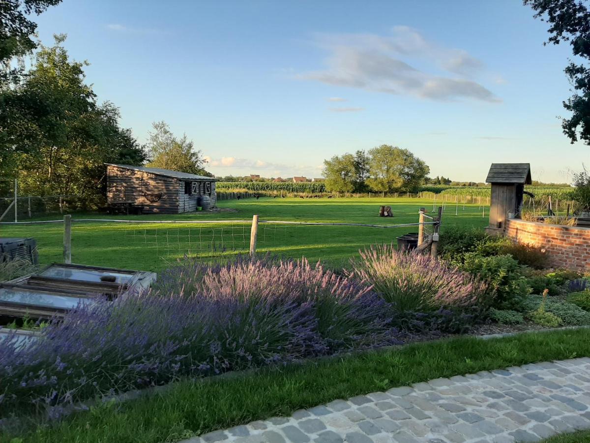 B & B Victors Hof, Met Zwemvijver In Landelijke Setting Lievegem Ngoại thất bức ảnh
