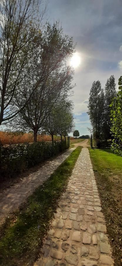 B & B Victors Hof, Met Zwemvijver In Landelijke Setting Lievegem Ngoại thất bức ảnh