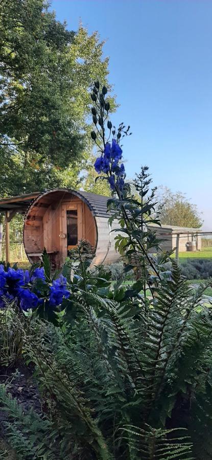 B & B Victors Hof, Met Zwemvijver In Landelijke Setting Lievegem Ngoại thất bức ảnh
